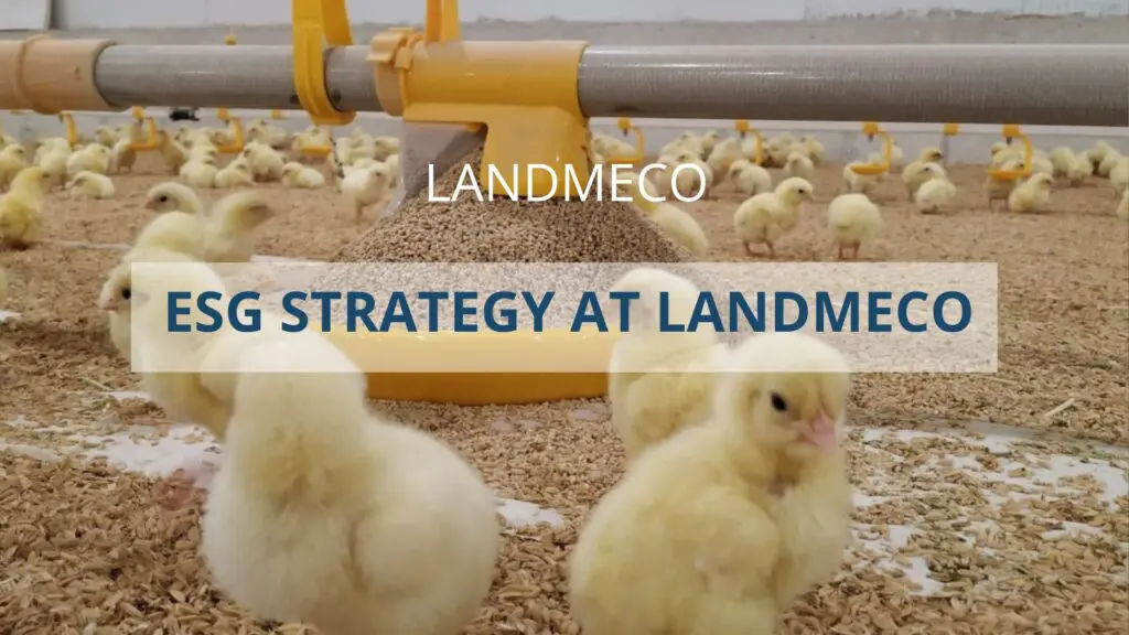Chicks with LANDMECO pan feeding equipment in a poultry house featuring ESG strategy text overlay.