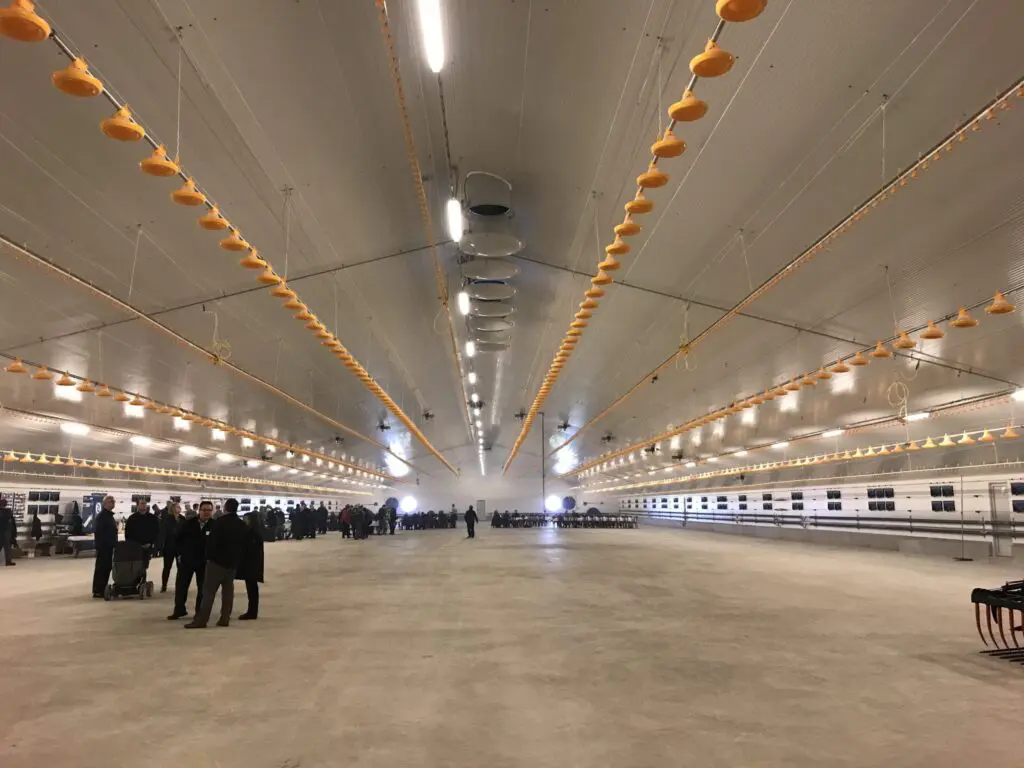 Large poultry house interior featuring LANDMECO broiler feeding lines, drinking systems, and ceiling ventilation.