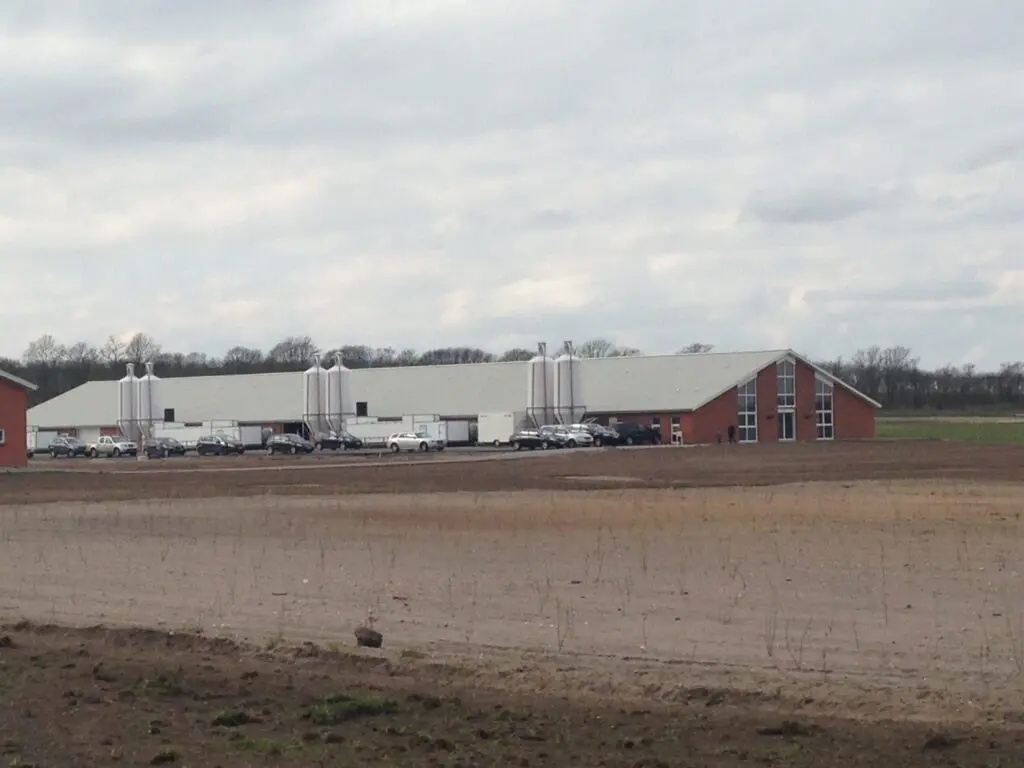 Large modern poultry house with feed silos and office section, showcasing integrated LANDMECO poultry equipment.