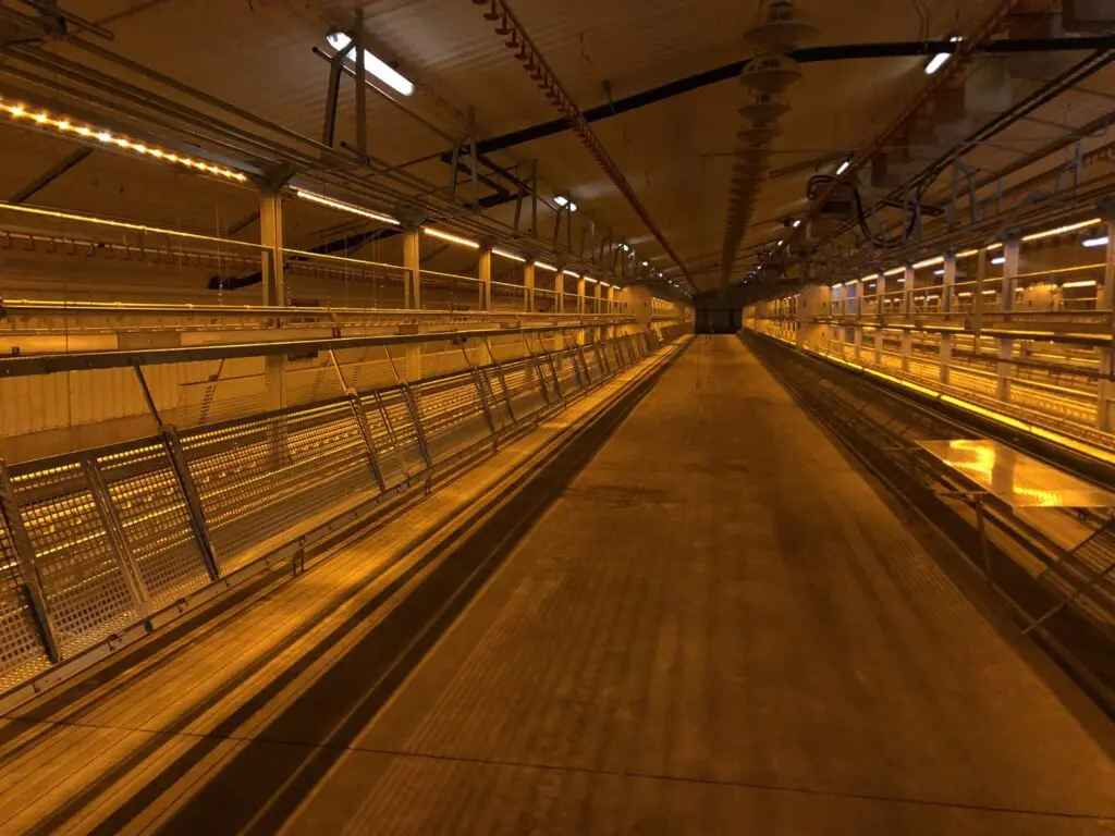 Interior of a LANDMECO aviary system for layers showing tiered equipment and lighting in a modern poultry house.
