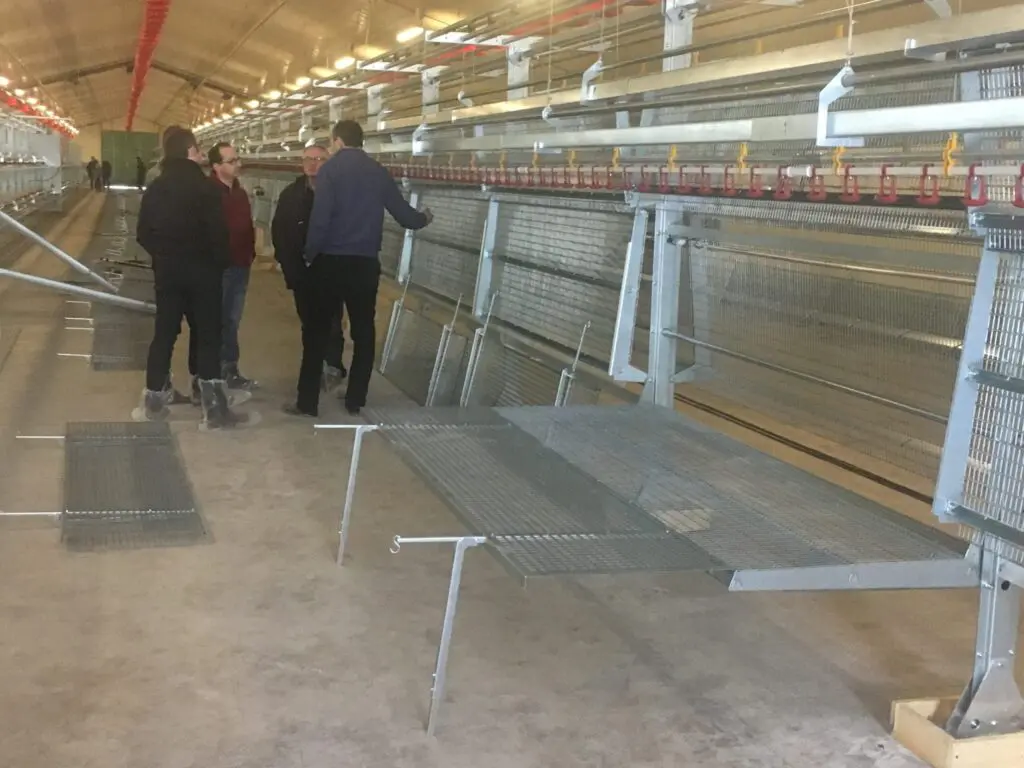 LANDMECO aviary system installation for layer or rearing poultry production in a professional poultry house.