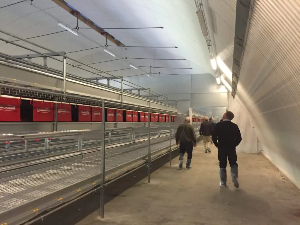 Visitors walking through a modern poultry house with LANDMECO aviary systems and biosecurity footwear.