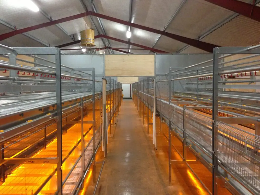 Multi-tier poultry rearing and aviary system by LANDMECO for efficient cage-free egg production.