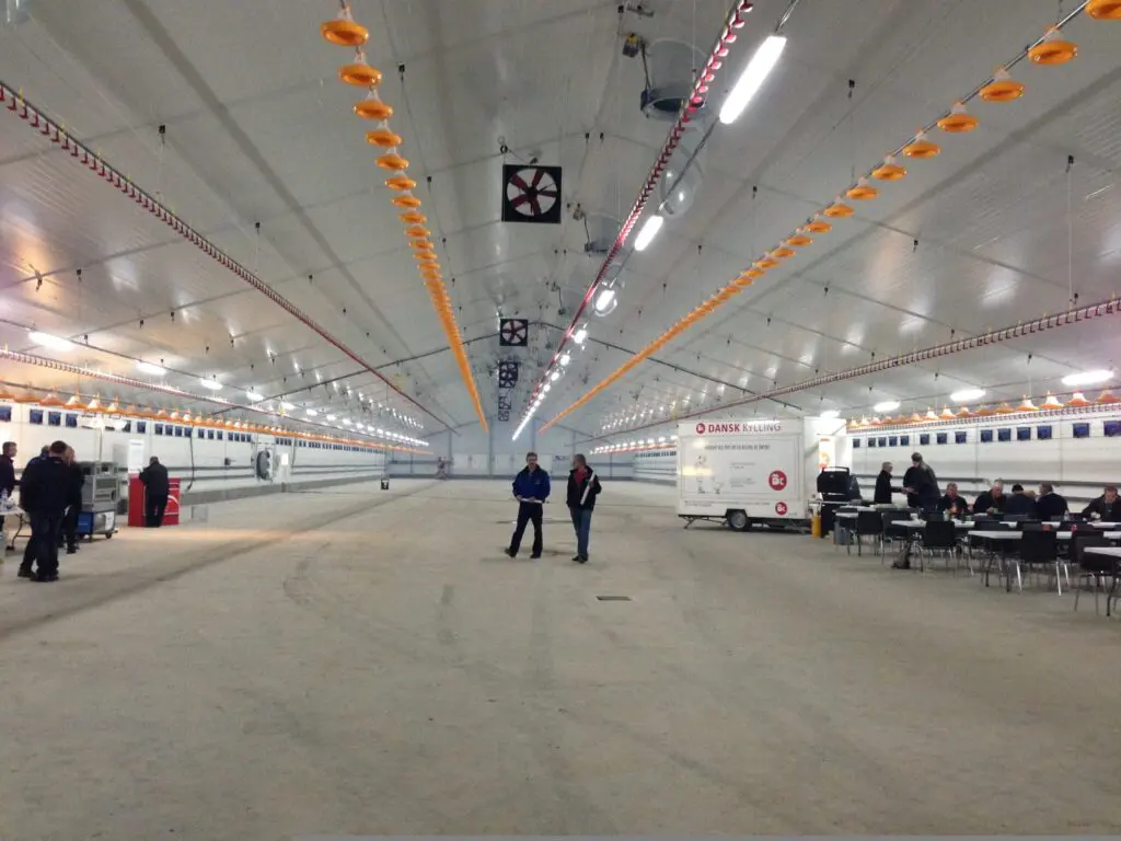 LANDMECO broiler house with pan feeding systems, drinking lines, and ventilation fans during an open house event.