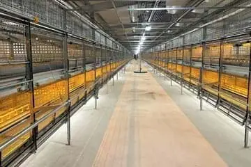 LANDMECO Highraise multi-tier aviary system featuring manure belts and efficient lighting for professional poultry houses.