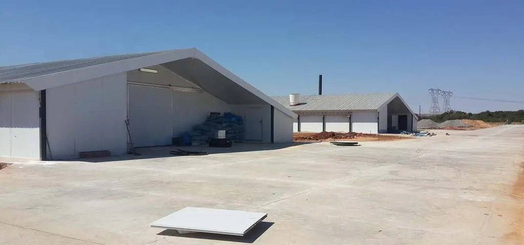 Exterior view of modern white poultry houses with concrete yard, ready for LANDMECO automated systems.