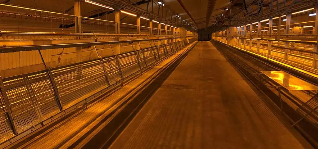 Multi-tier poultry rearing system by LANDMECO featuring easy-to-manage tiers and central walkway for better bird welfare.
