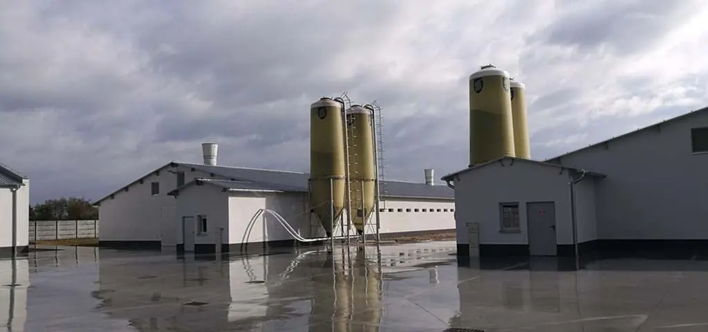 Modern poultry houses with feed silos and automated systems for efficient broiler and layer production by LANDMECO.