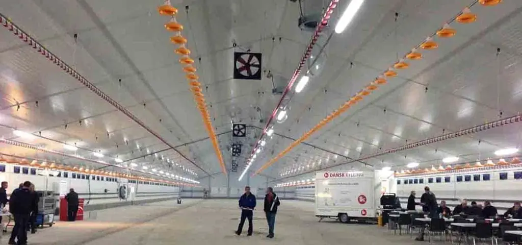 Modern broiler house interior with LANDMECO feeding pans, nipple drinkers, and ceiling-mounted ventilation fans.