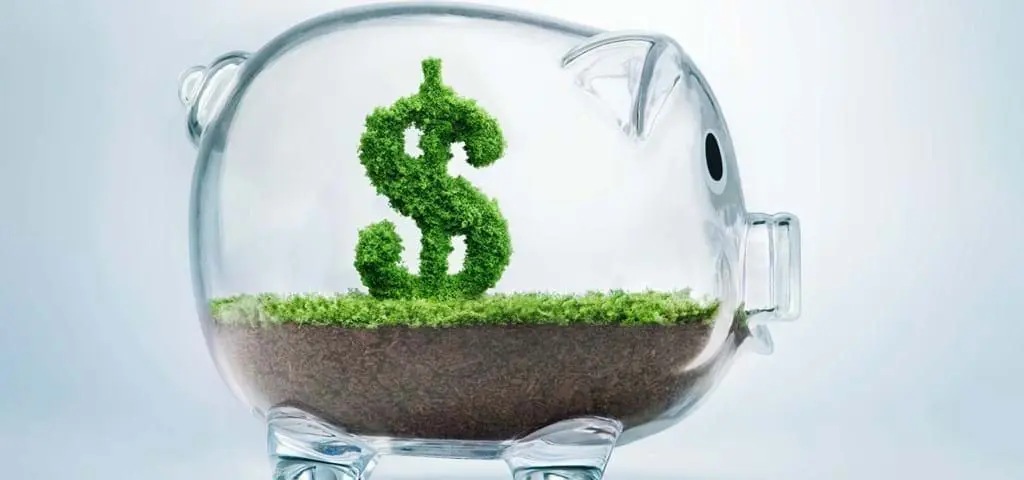 Clear piggy bank with a green moss dollar sign, symbolizing sustainable investment in poultry farming equipment.