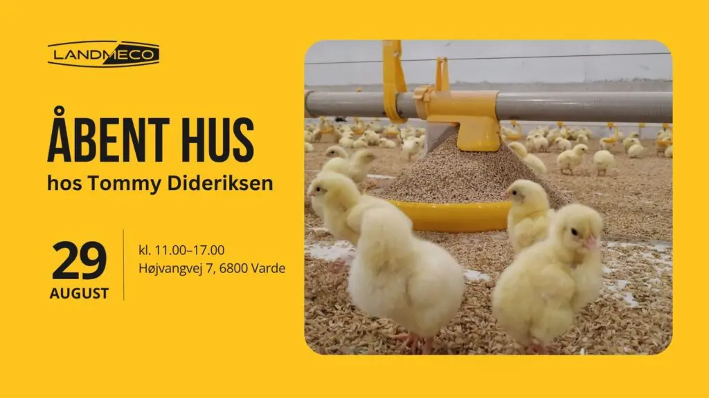 Slagtekyllinger ved LANDMECO Kick-off foderskål til åbent hus hos Tommy Dideriksen i Varde.