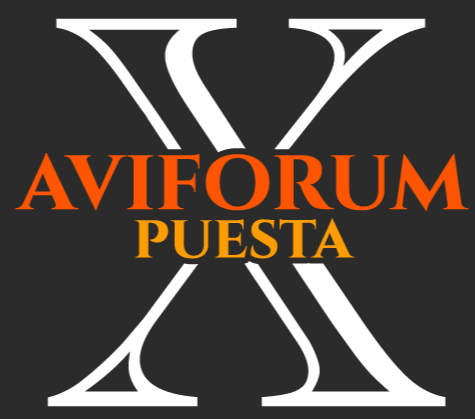 X AviForum Puesta event logo with orange and gold typography over a large white X on a dark grey background.