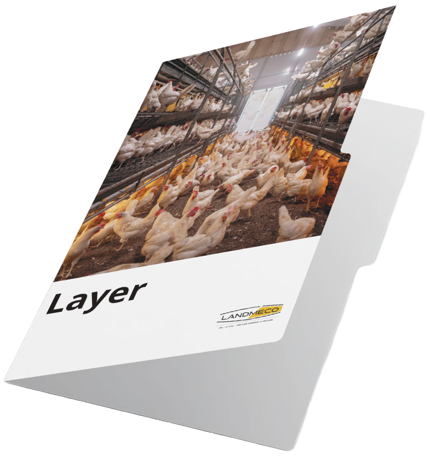LANDMECO Layer brochure mockup showing white hens in a cage-free aviary system for efficient egg production.
