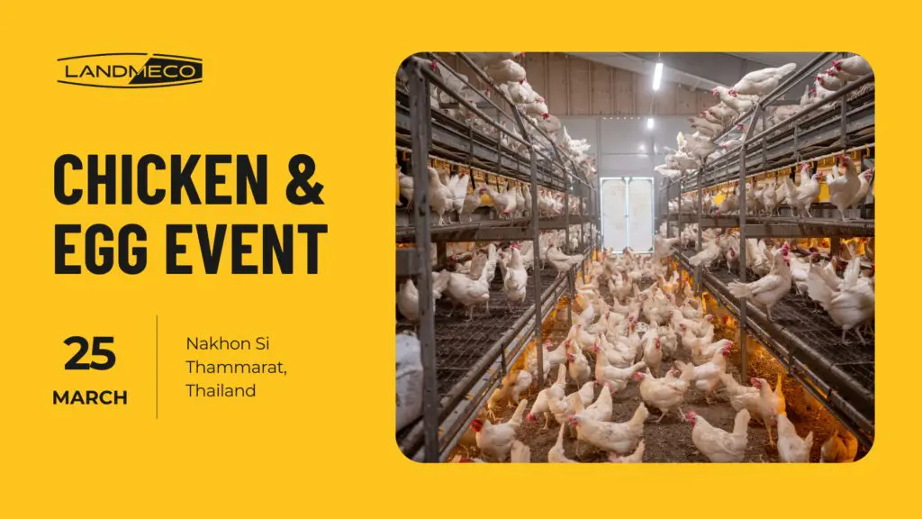Poster for LANDMECO Chicken & Egg Event in Thailand featuring an aviary system with white layers in a cage-free house.
