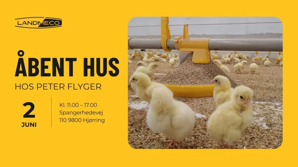 Grafisk invitation til åbent hus hos Peter Flyger med et billede af små kyllinger ved et gult LANDMECO fodringssystem.