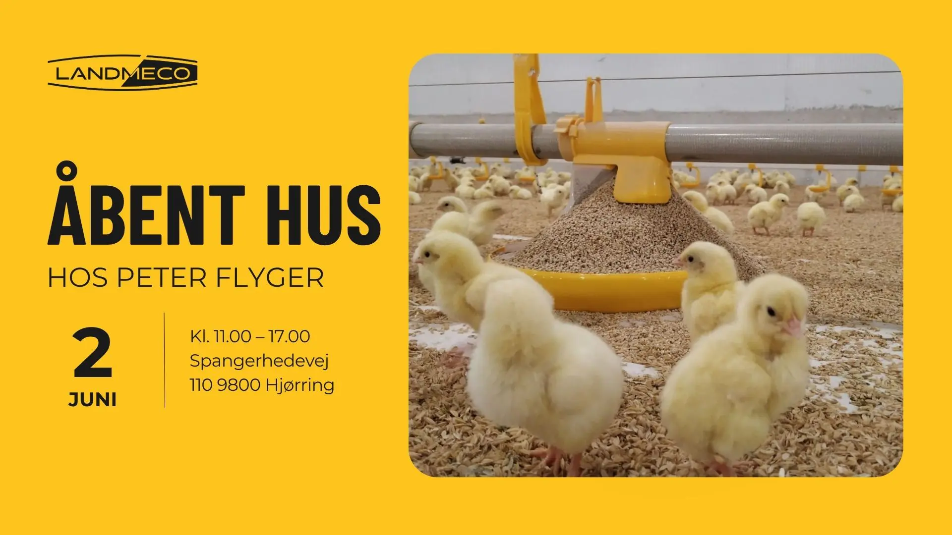Grafisk invitation til åbent hus hos Peter Flyger med et billede af små kyllinger ved et gult LANDMECO fodringssystem.