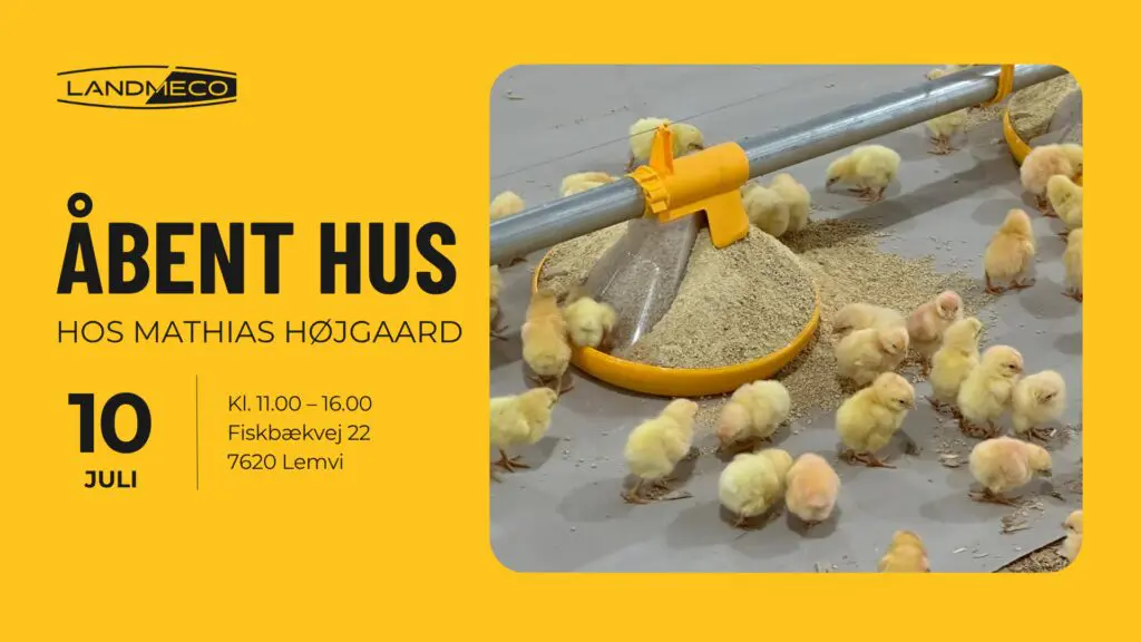 Invitation til åbent hus hos Mathias Højgaard den 10. juli med grafik og billede af små slagtekyllinger ved et LANDMECO fodringsanlæg.