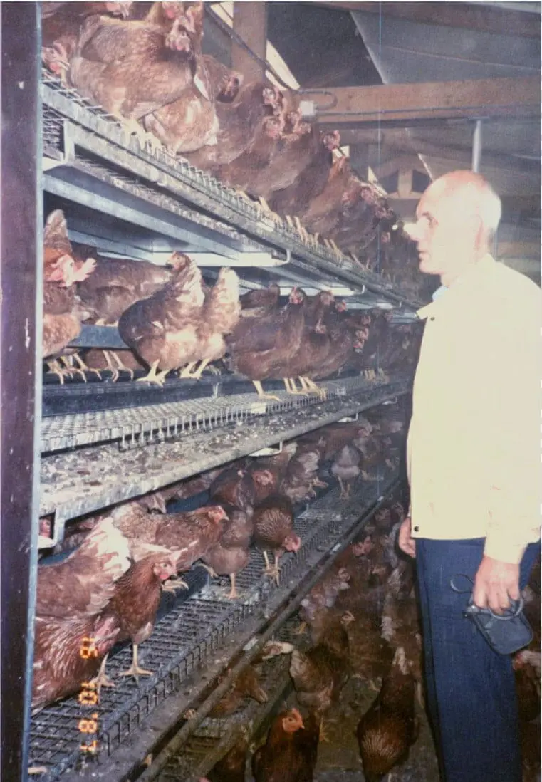 Historisk foto fra 1987 af en mand ved et æglæggersystem, der viser LANDMECOs lange historie.