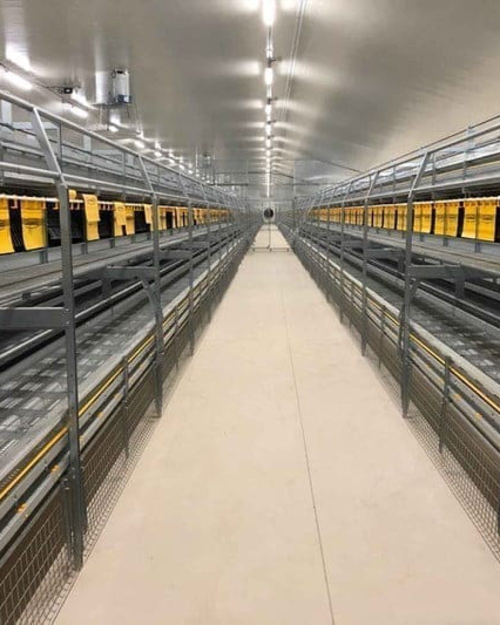 Interior view of a LANDMECO multi-tiered layer aviary system designed for cage-free poultry farming efficiency.