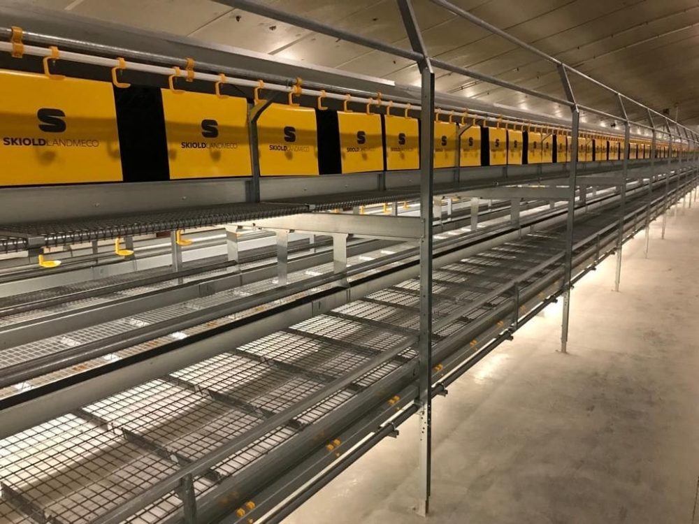LANDMECO Combo One Tier etagesystem til æglæggere med integrerede reder, foder- og vandingssystemer.