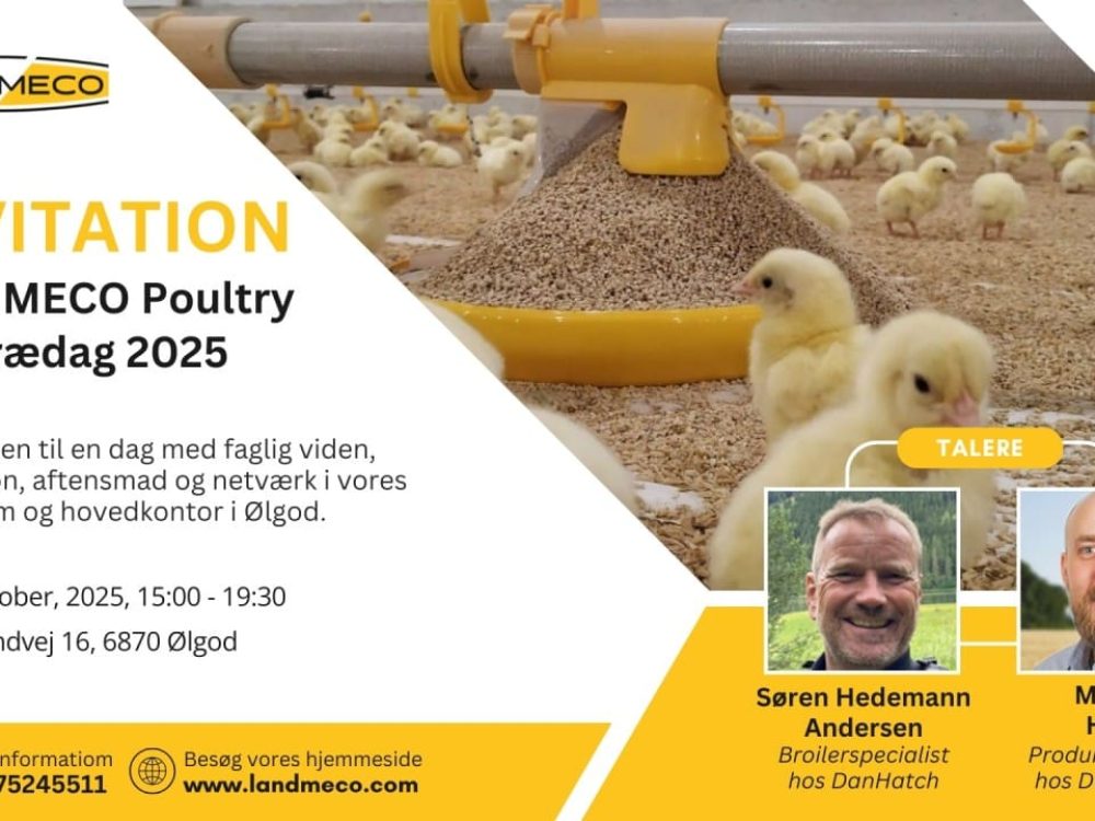 Invitation til LANDMECO Fjerkrædag 2025 med talere fra DanHatch og Danish Agro samt kyllinger ved foderautomat.