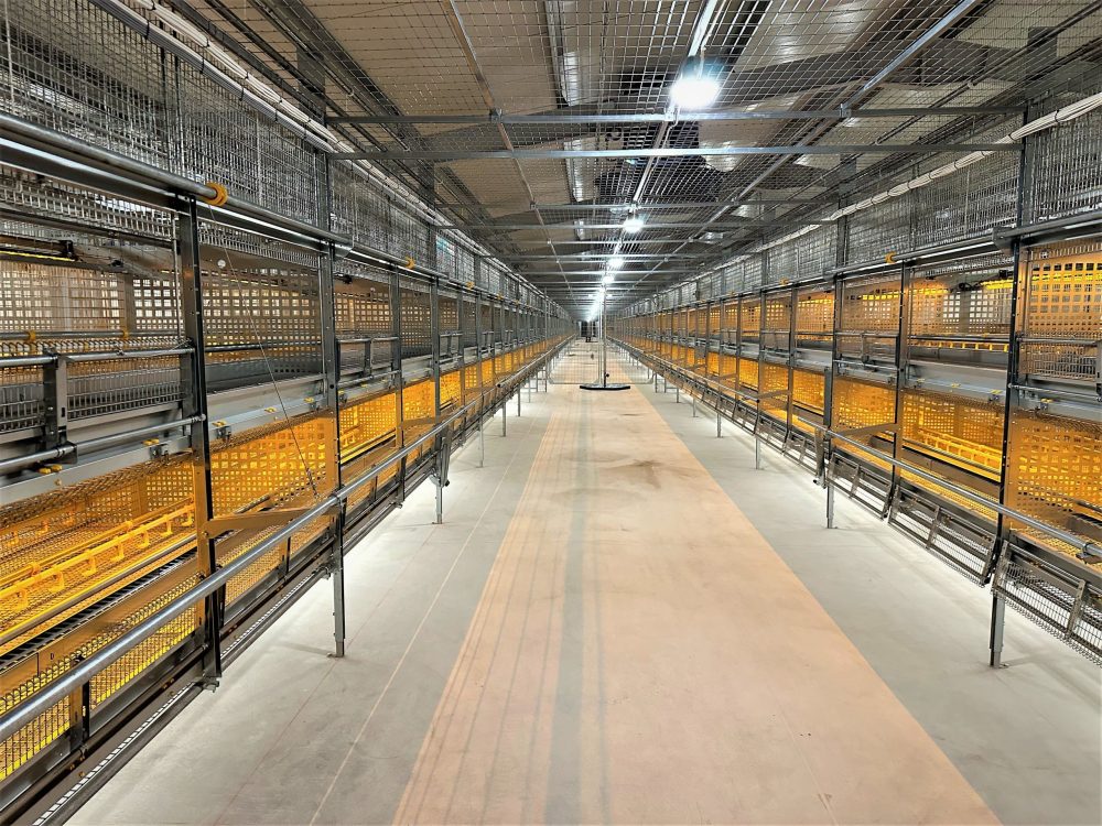 LANDMECO High Raise etagesystem til kyllingeopdræt med flere niveauer, gødningsbånd og god belysning.
