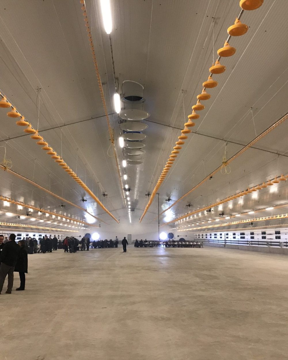 Large poultry house interior featuring LANDMECO broiler feeding lines, drinking systems, and ceiling ventilation.