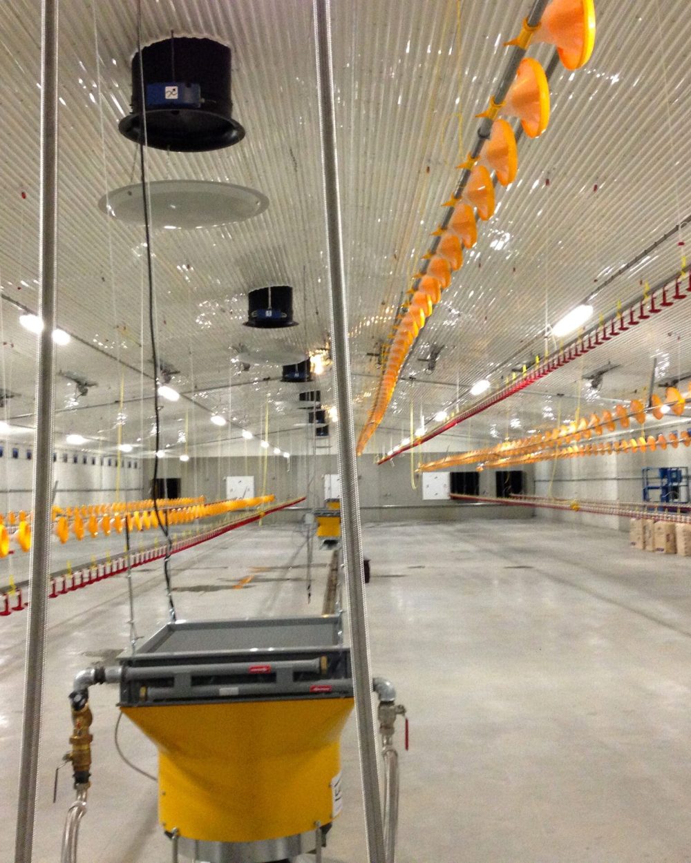 LANDMECO poultry feeding pans, drinking lines, and ventilation systems in a clean, modern broiler house.