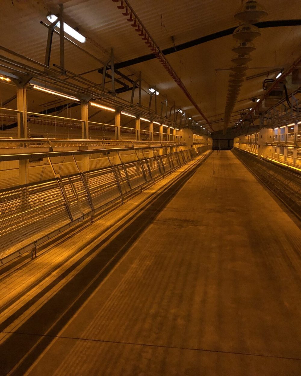 Interior of a LANDMECO aviary system for layers showing tiered equipment and lighting in a modern poultry house.