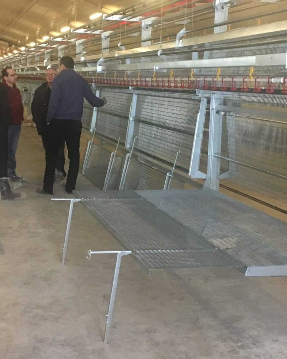 LANDMECO aviary system installation for layer or rearing poultry production in a professional poultry house.