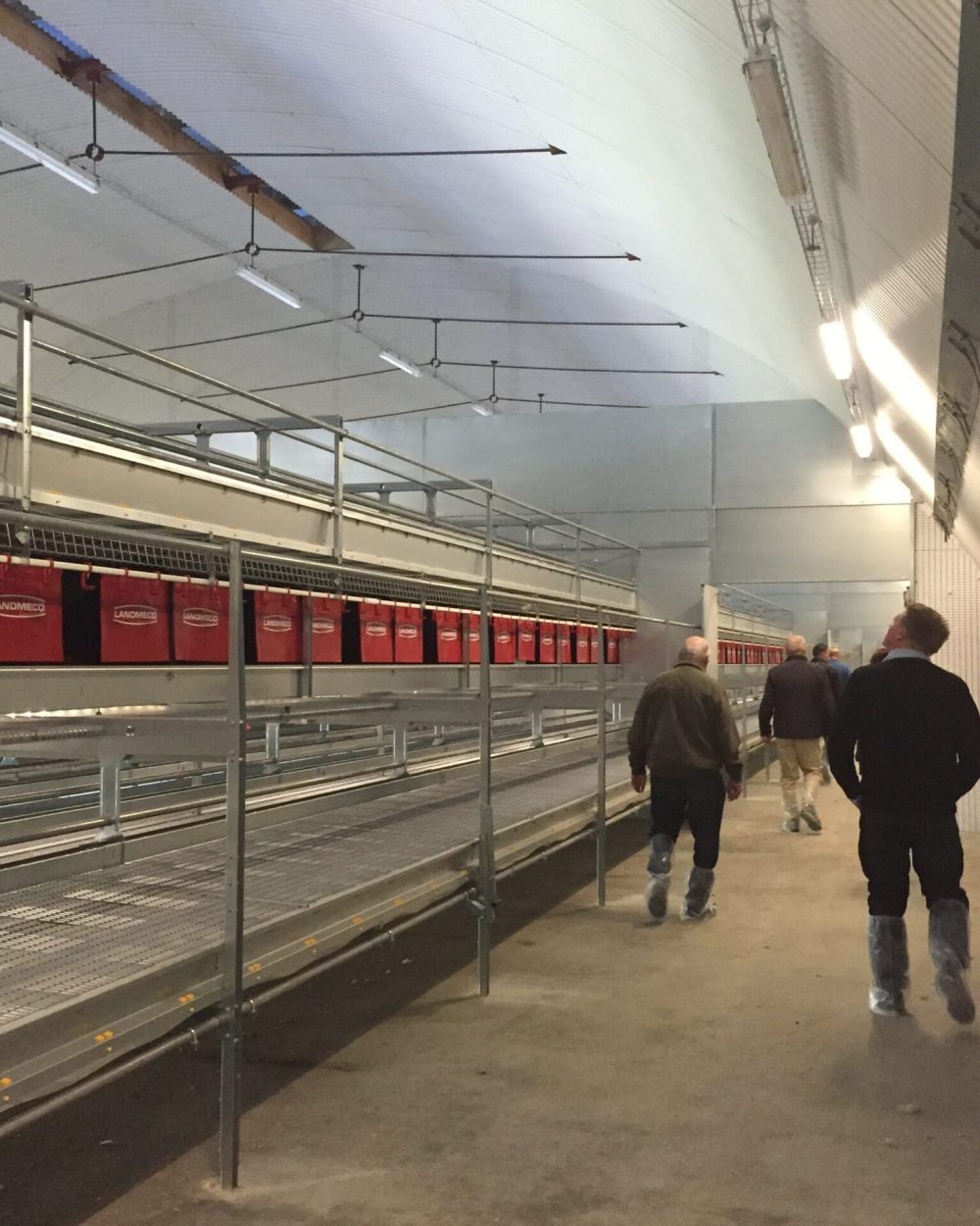 Visitors walking through a modern poultry house with LANDMECO aviary systems and biosecurity footwear.