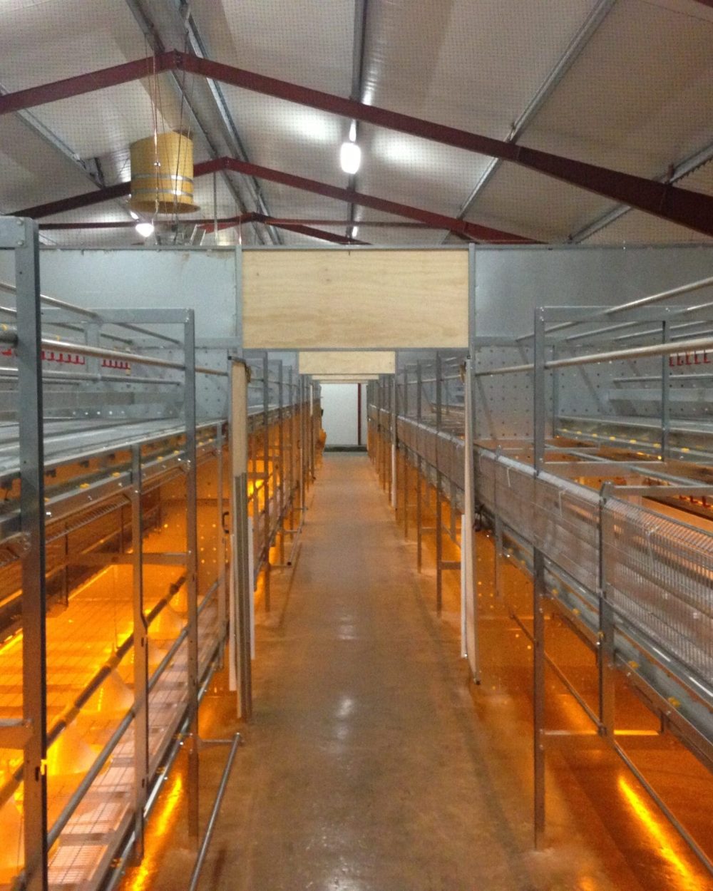 Multi-tier poultry rearing and aviary system by LANDMECO for efficient cage-free egg production.