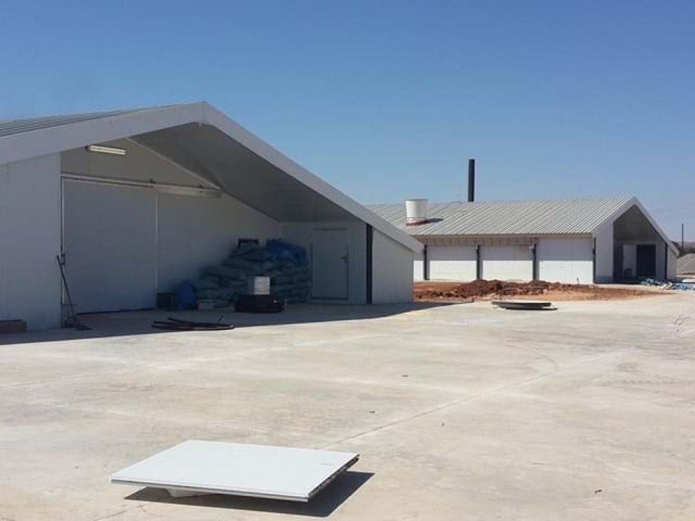 Exterior view of modern white poultry houses with concrete yard, ready for LANDMECO automated systems.