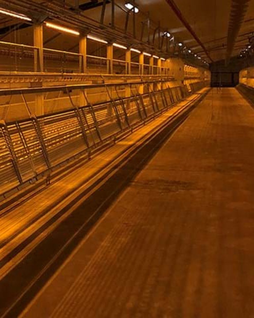Multi-tier poultry rearing system by LANDMECO featuring easy-to-manage tiers and central walkway for better bird welfare.