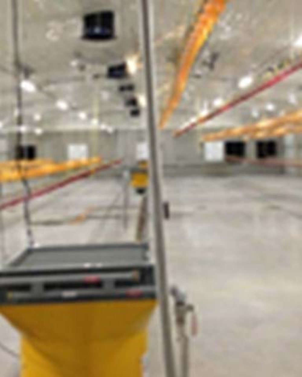 Modern broiler house featuring yellow pan feeding lines and automated drinking systems by LANDMECO.