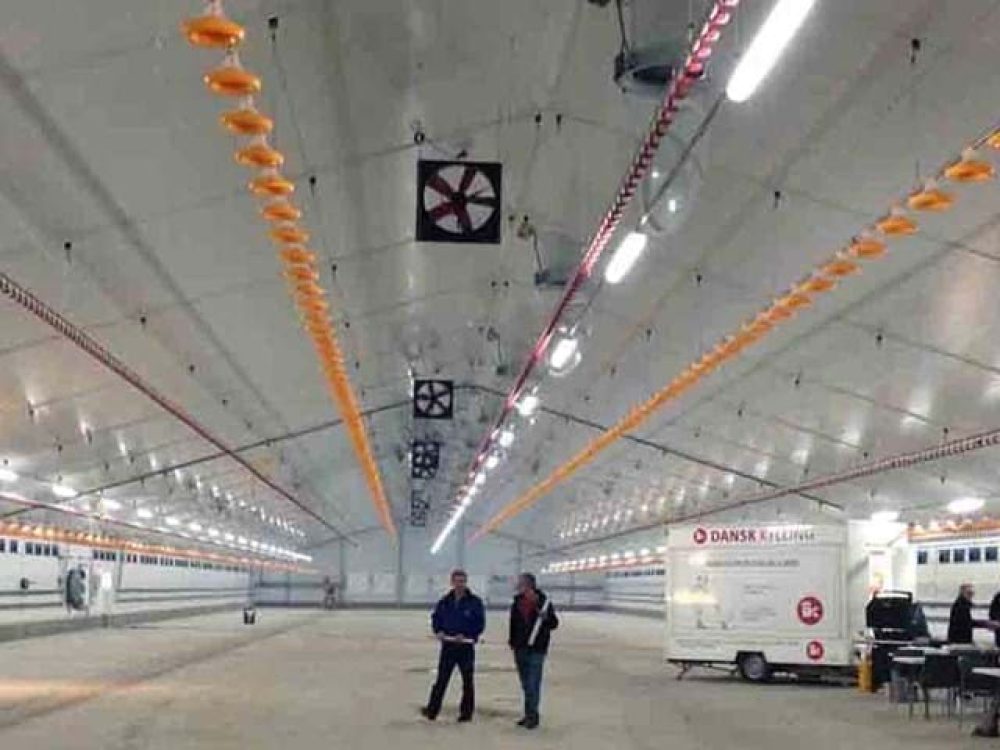 Modern broiler house interior with LANDMECO feeding pans, nipple drinkers, and ceiling-mounted ventilation fans.