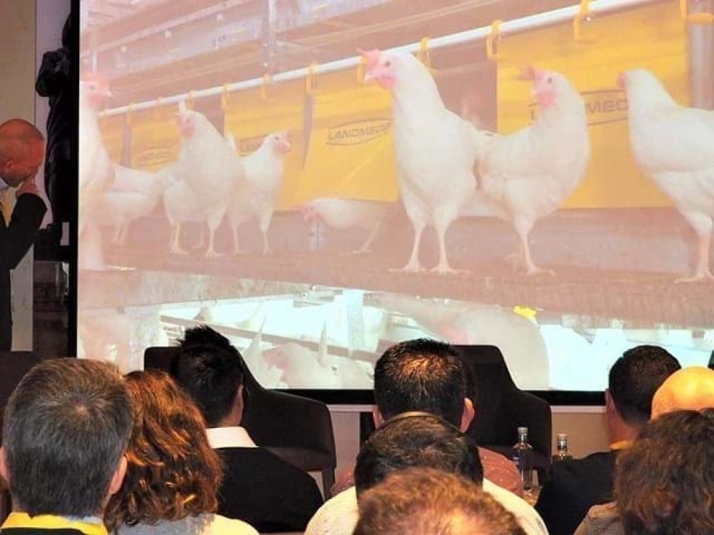 LANDMECO Spain Convention presentation showcasing automated poultry systems for layers and breeders to an audience.