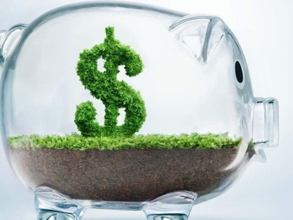 Clear piggy bank with a green moss dollar sign, symbolizing sustainable investment in poultry farming equipment.